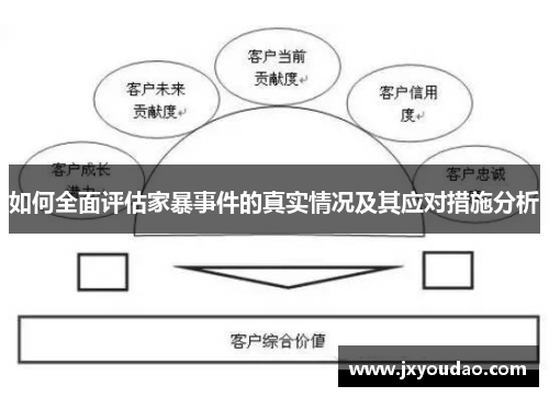 如何全面评估家暴事件的真实情况及其应对措施分析